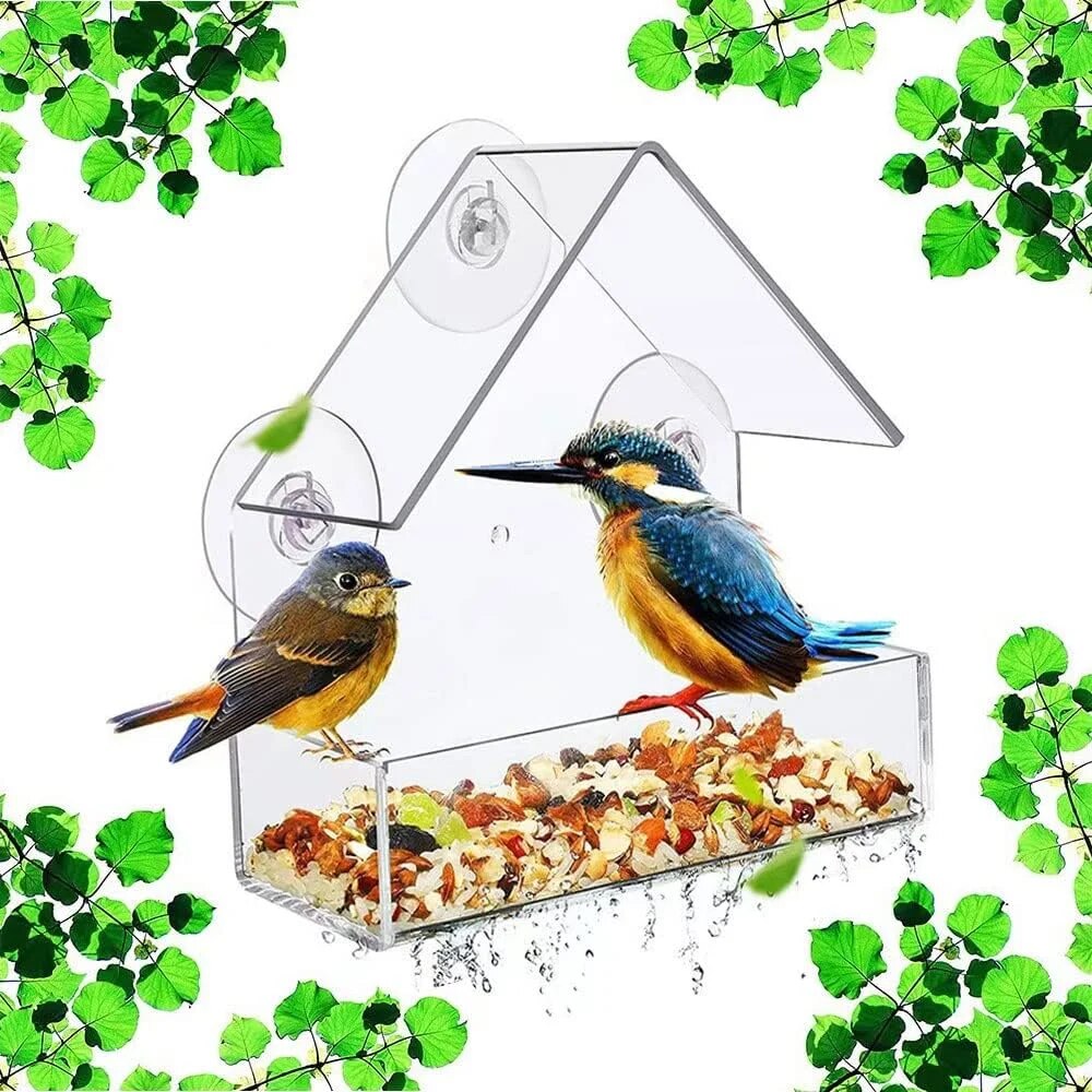 Smart Bird Feeder Camera - Akrilik Kuş Besleyici Şeffaf Pencere Dışında
