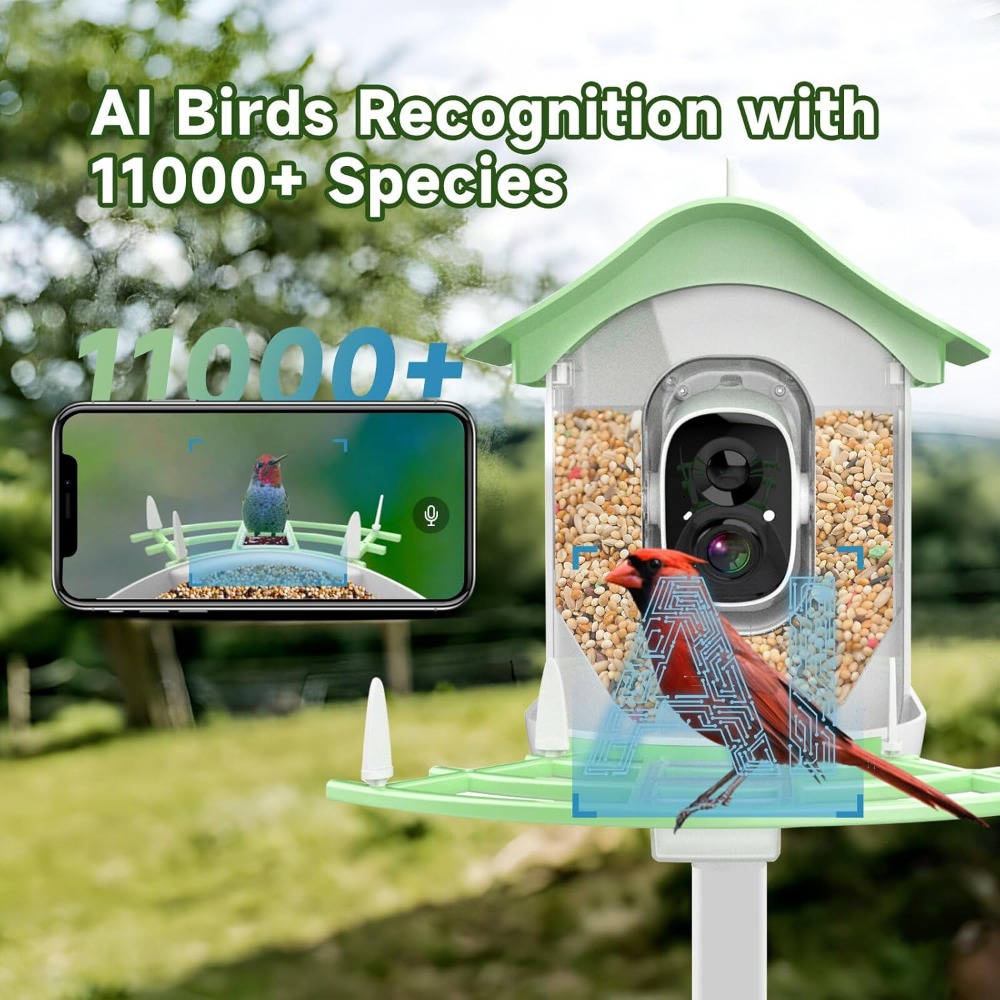 Güneş Enerjili Akıllı Kuş Besl - Smart Bird Feeder Camera incelemesi ve fiyatı