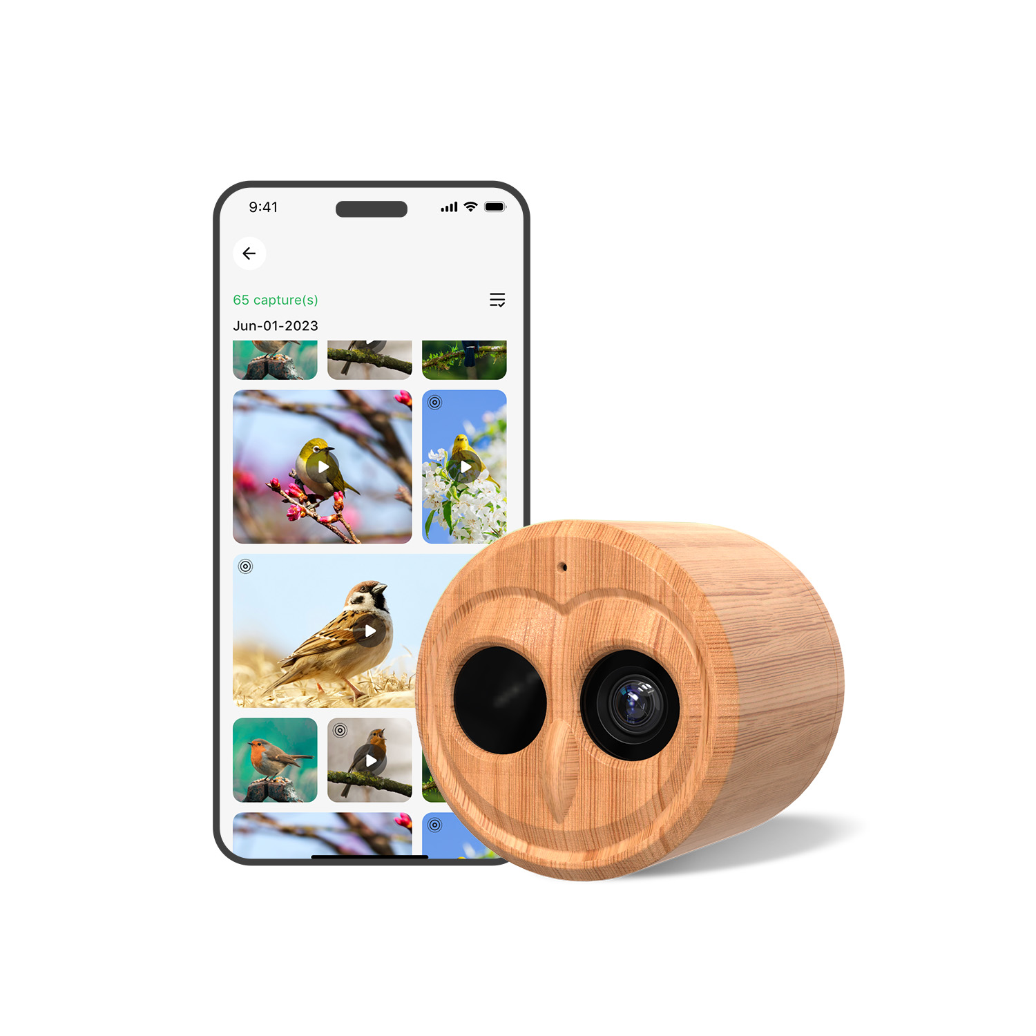 4K Akıllı Kuş Besleyici, Kamer - Smart Bird Feeder Camera incelemesi ve fiyatı