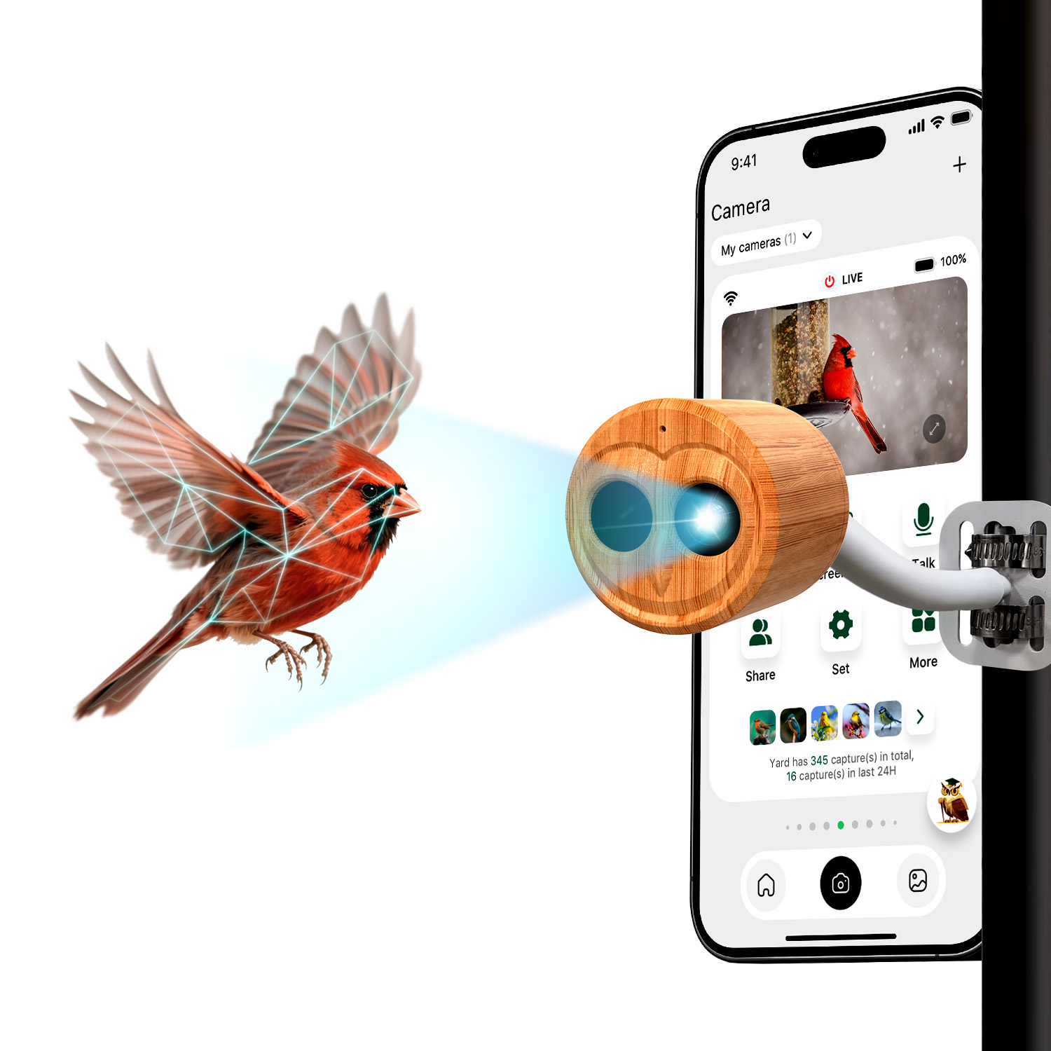 4K Akıllı Kuş Besleyici, Kamer - Smart Bird Feeder Camera incelemesi ve fiyatı