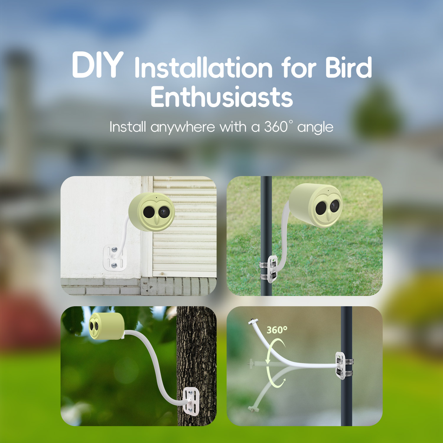 WILLFINE Otomatik Yapay Zeka K - Smart Bird Feeder Camera incelemesi ve fiyatı