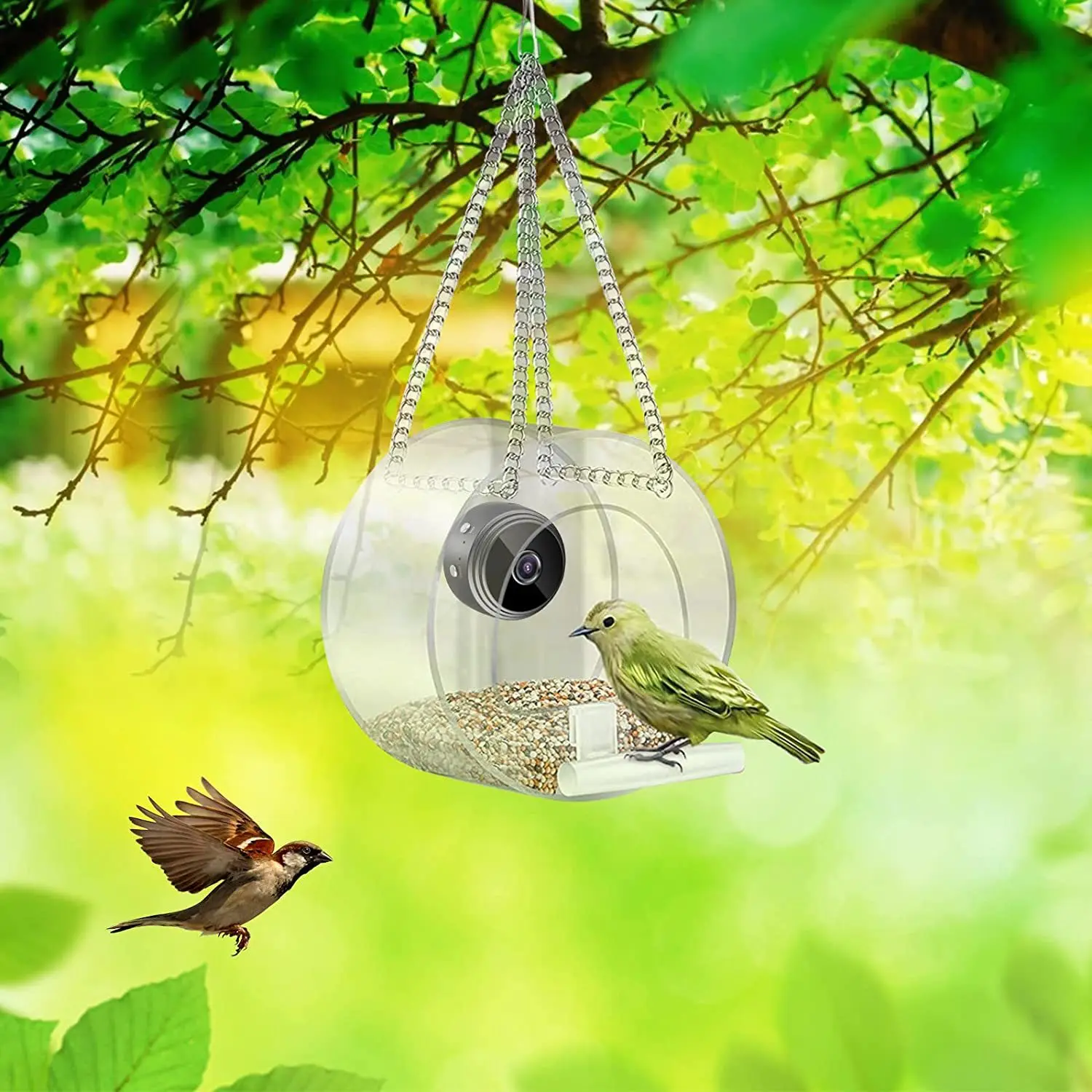 2023 Akıllı Kuş Besleyici Akri - Smart Bird Feeder Camera incelemesi ve fiyatı