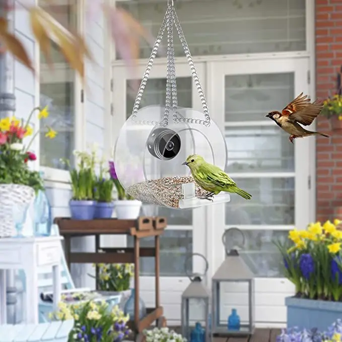 2023 Akıllı Kuş Besleyici Akri - Smart Bird Feeder Camera incelemesi ve fiyatı