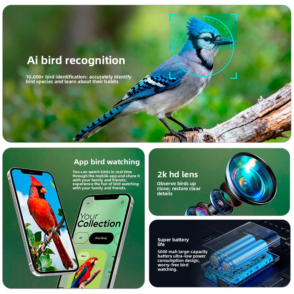 Açık Hava Güneş Enerjili HD Ka - Smart Bird Feeder Camera incelemesi ve fiyatı