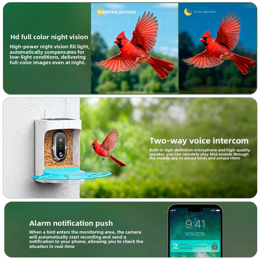 Açık Hava Güneş Enerjili HD Ka - Smart Bird Feeder Camera incelemesi ve fiyatı