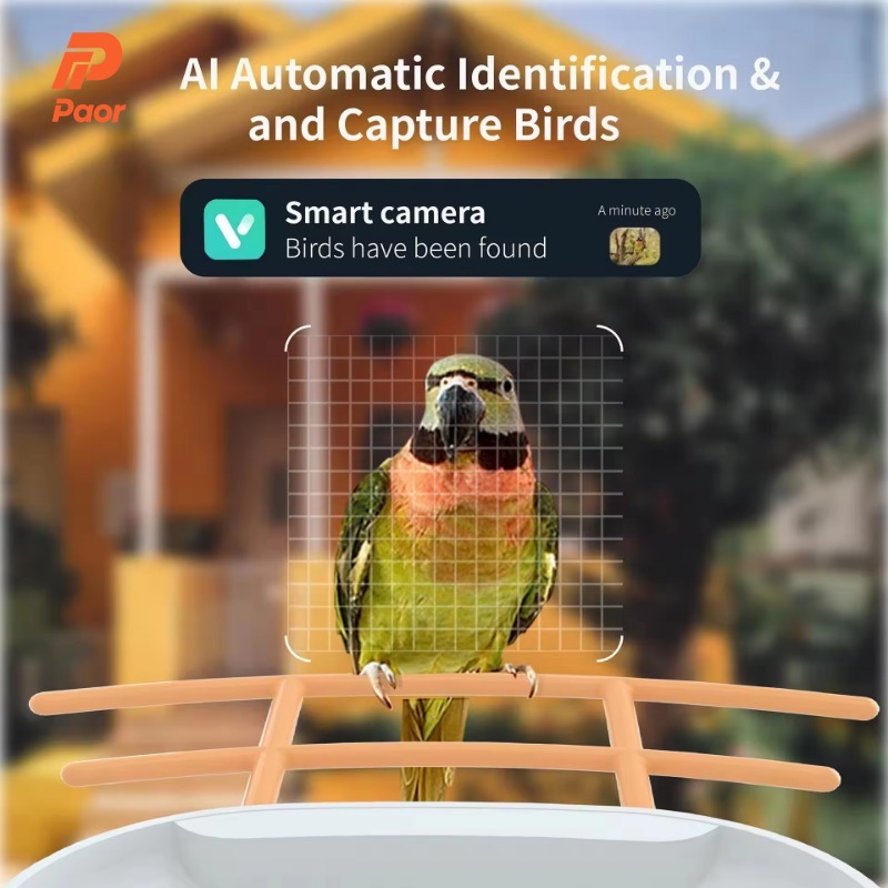 Yeni Açık Hava Güneş Enerjili  - Smart Bird Feeder Camera incelemesi ve fiyatı