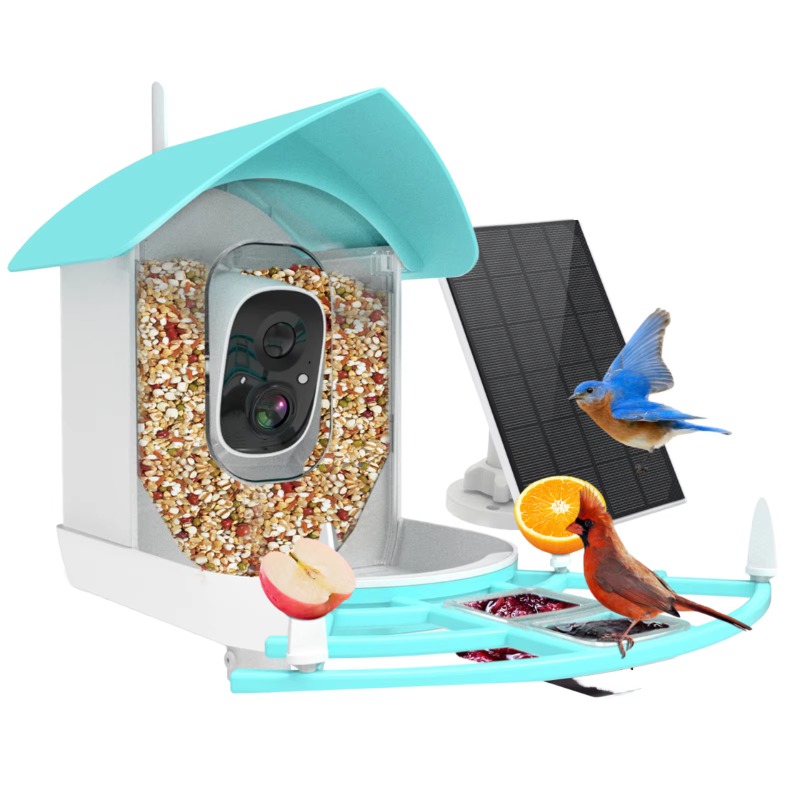 Akıllı Kuş Besleyici Gece Görü - Smart Bird Feeder Camera incelemesi ve fiyatı