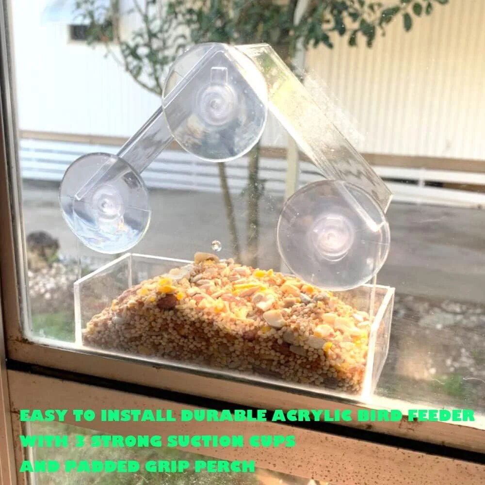 Akrilik Kuş Besleyici Şeffaf P - Smart Bird Feeder Camera incelemesi ve fiyatı