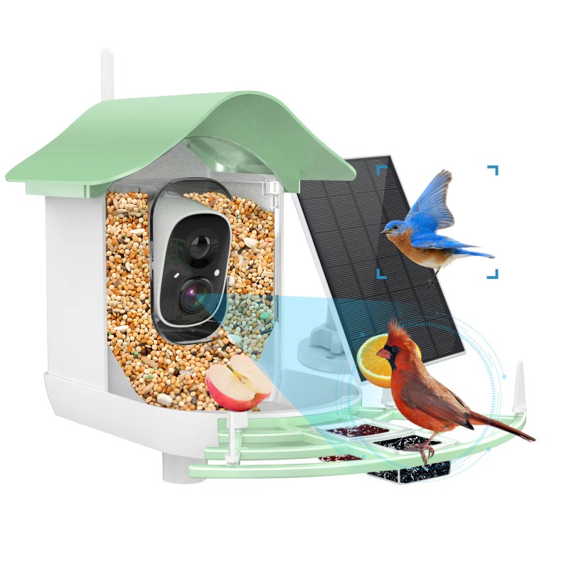 2026 Uygulama Video Otomatik K - Smart Bird Feeder Camera incelemesi ve fiyatı