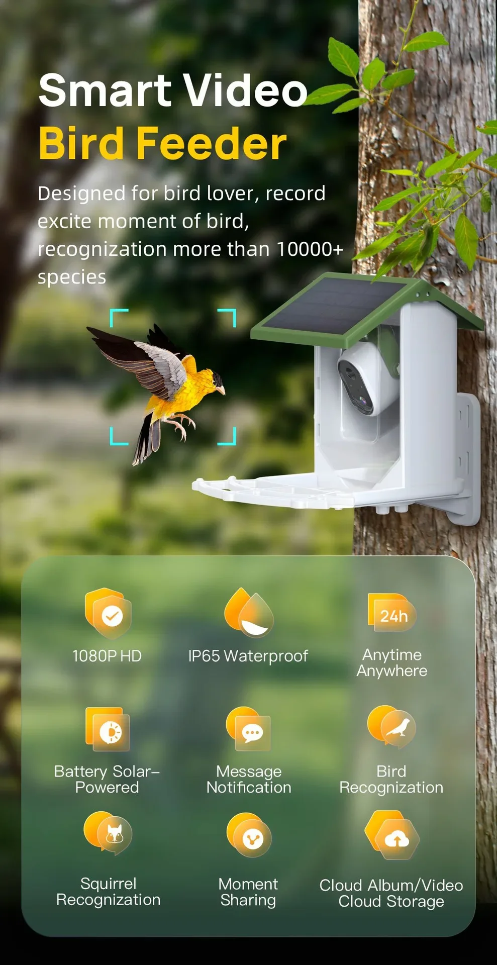 Çok Satan Sınır Ötesi Vahşi Ku - Smart Bird Feeder Camera incelemesi ve fiyatı